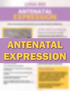 Antenatal Expression | PDF