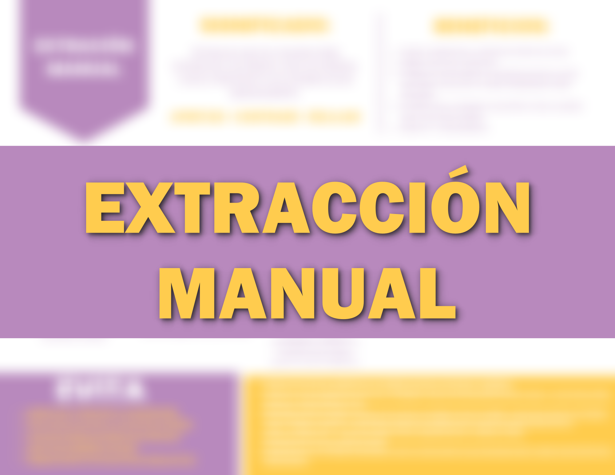 Extraction Manual | PDF