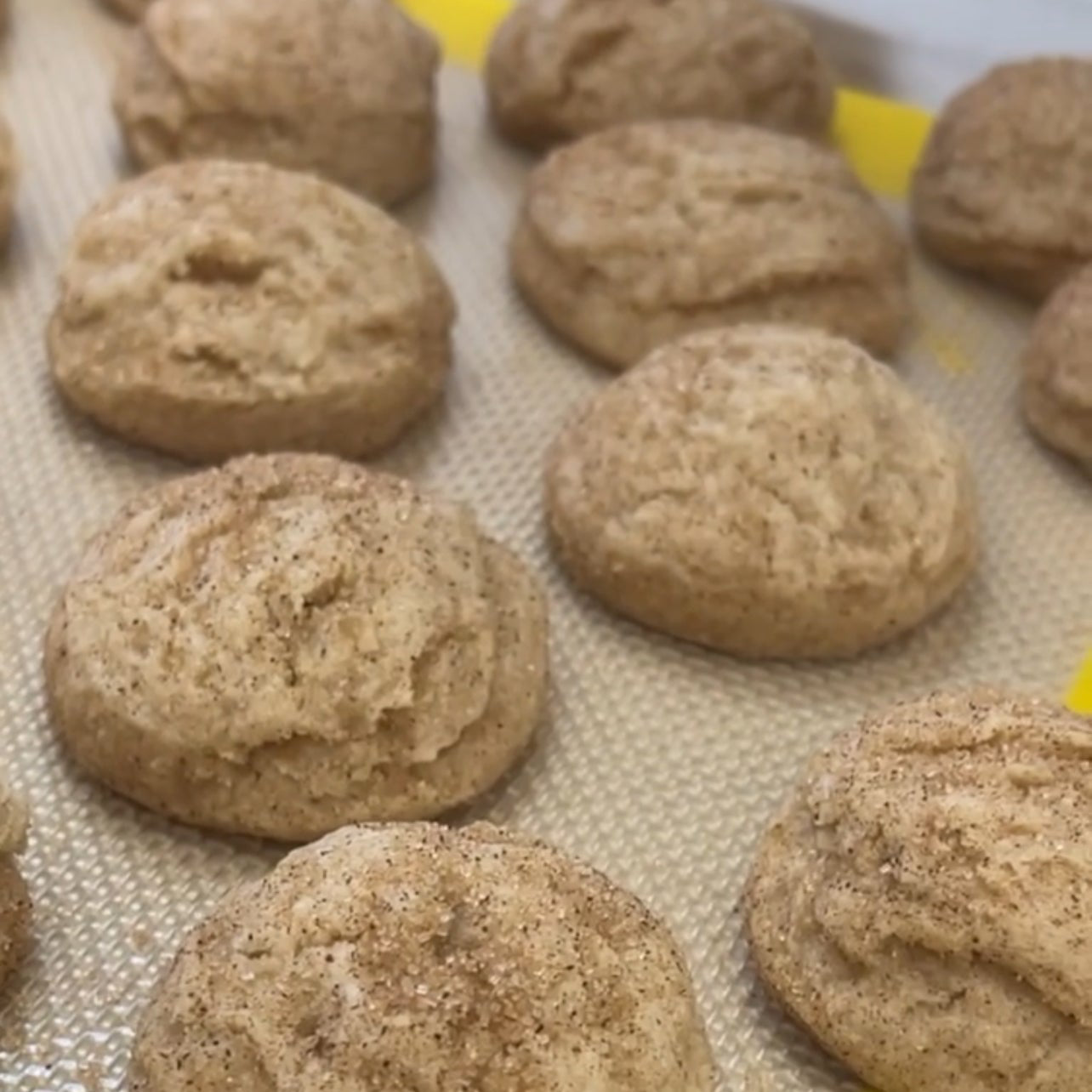 Lactation Cookies | Churro Cheesecake