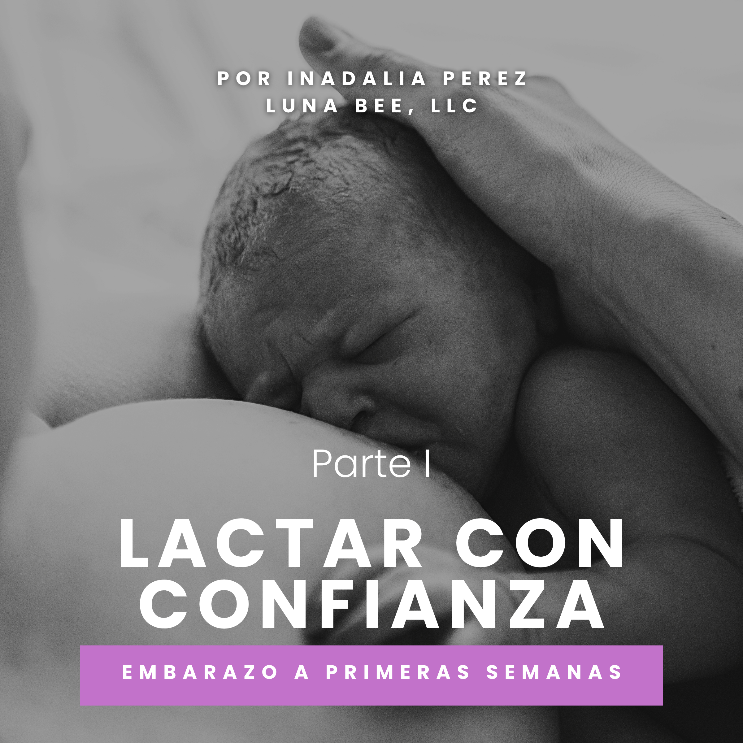 Lactar con Confianza: Prepárate para Lactar | Parte 1